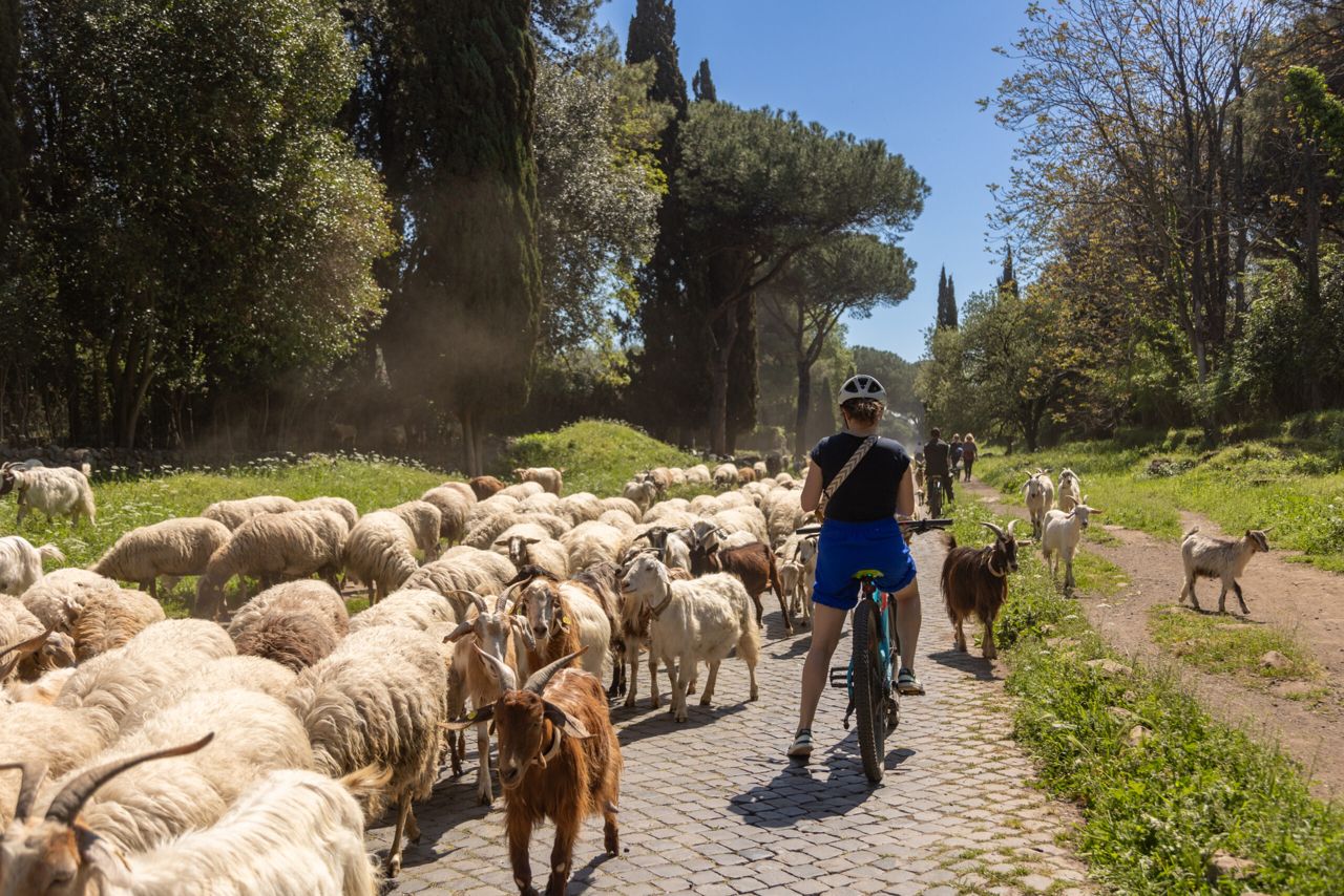 Appian Way & Aqueducts: e-bike with catacombs and food — 4