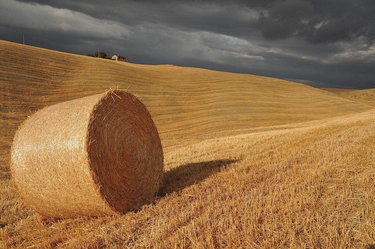Tuscany: Val d'Orcia and wine tasting — 3